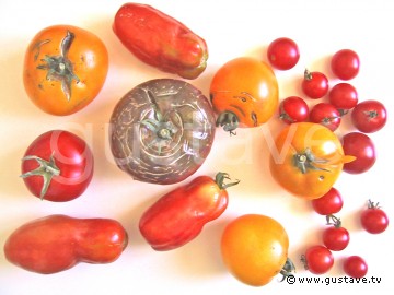 Des tomates de toutes les couleurs