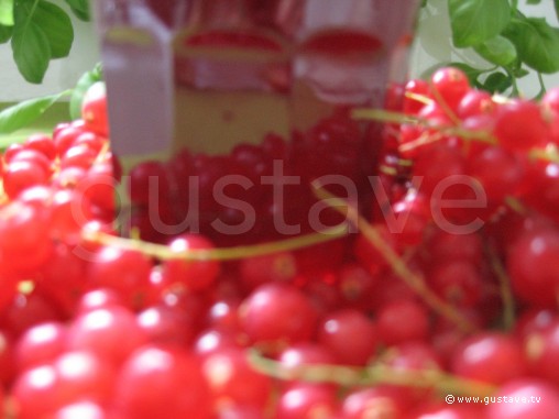 Recette Gelée de groseilles