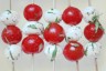 Brochettes tomates mozzarella au basilic